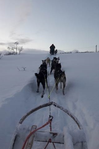 Nach getaner Arbeit im Labor kam das Vergnügen: Eine Hundeschlittenfahrt im tief verschneiten Hinterland.